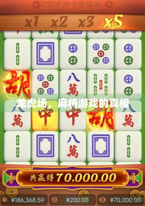 龙虎场，麻将游戏的真相