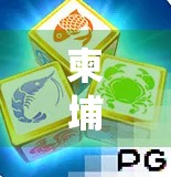 柬埔寨麻将，一个被遗忘的传统文化