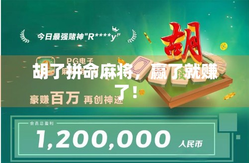胡了拼命麻将，赢了就赚了！