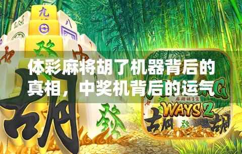 体彩麻将胡了机器背后的真相，中奖机背后的运气