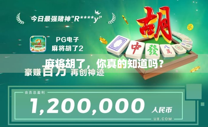 麻将胡了，你真的知道吗？