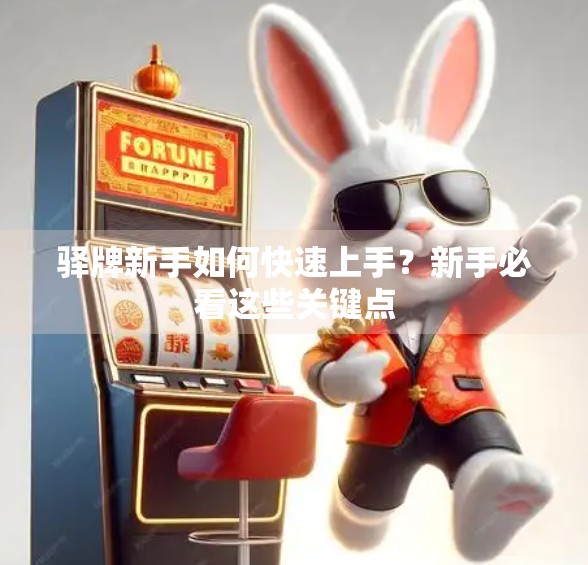 驿牌新手如何快速上手？新手必看这些关键点