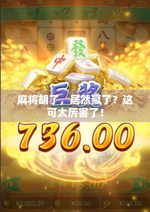 麻将胡了,居然赢了?这可太厉害了!