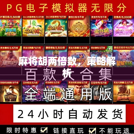 麻将胡两倍数，策略解析