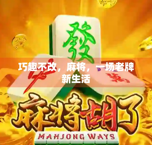 巧趣不改，麻将，一场老牌新生活