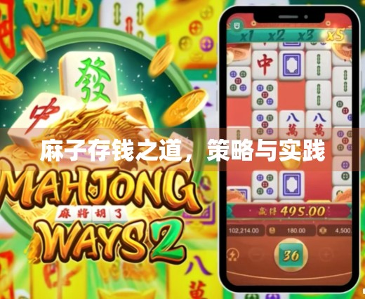 麻子存钱之道，策略与实践
