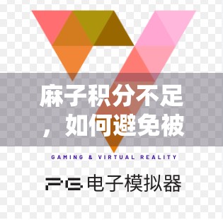 麻子积分不足，如何避免被他人利用