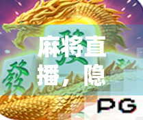 麻将直播,隐藏的趣味与挑战 麻将直播,隐藏的趣味与挑战