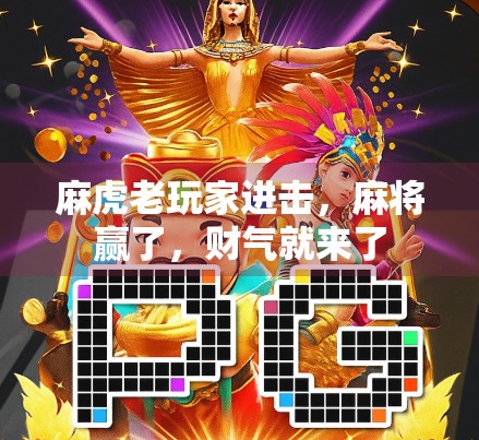 麻虎老玩家进击，麻将赢了，财气就来了