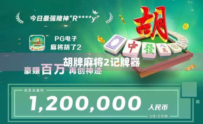 胡牌麻将2记牌器