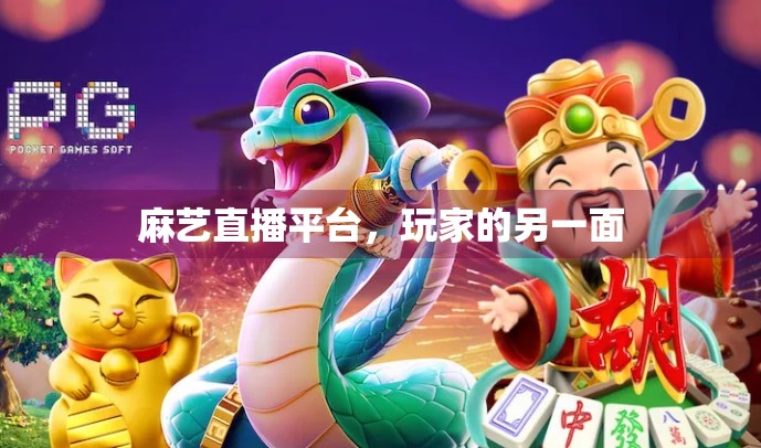 麻艺直播平台,玩家的另一面 麻艺直播平台,玩家的另一面