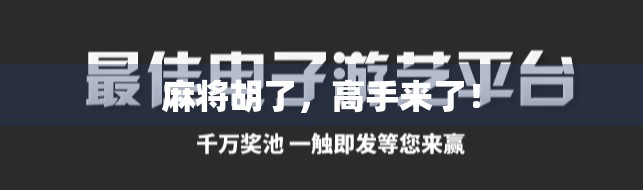 麻将胡了，高手来了！