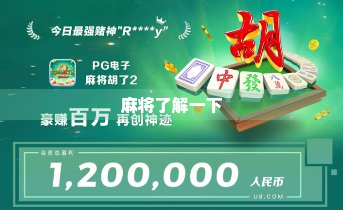 麻将了解一下 麻将了解一下