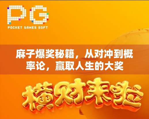 麻子爆奖秘籍，从对冲到概率论，赢取人生的大奖