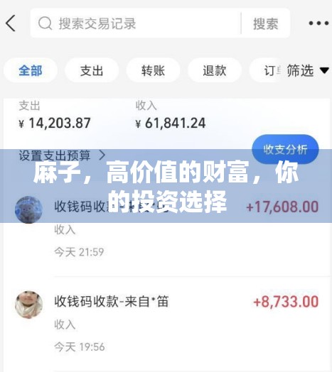 麻子，高价值的财富，你的投资选择