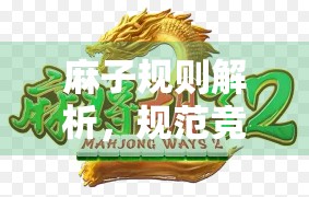 麻子规则解析，规范竞争，保护玩家权益
