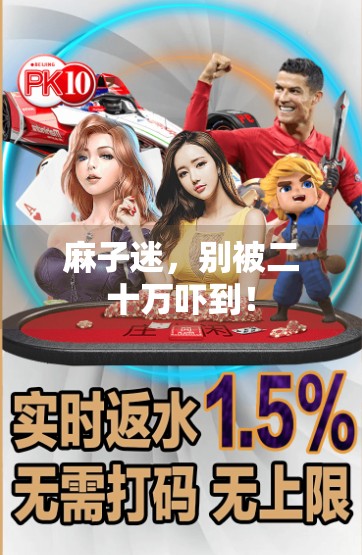 麻子迷,别被二十万吓到! 麻子迷,别被二十万吓到!