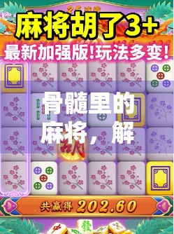 骨髓里的麻将，解码牌面，智玩人生