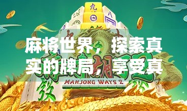 麻将世界，探索真实的牌局，享受真实的乐趣