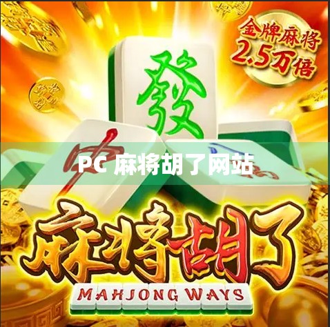 PC 麻将胡了网站