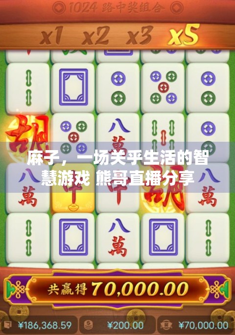 麻子，一场关乎生活的智慧游戏 熊哥直播分享