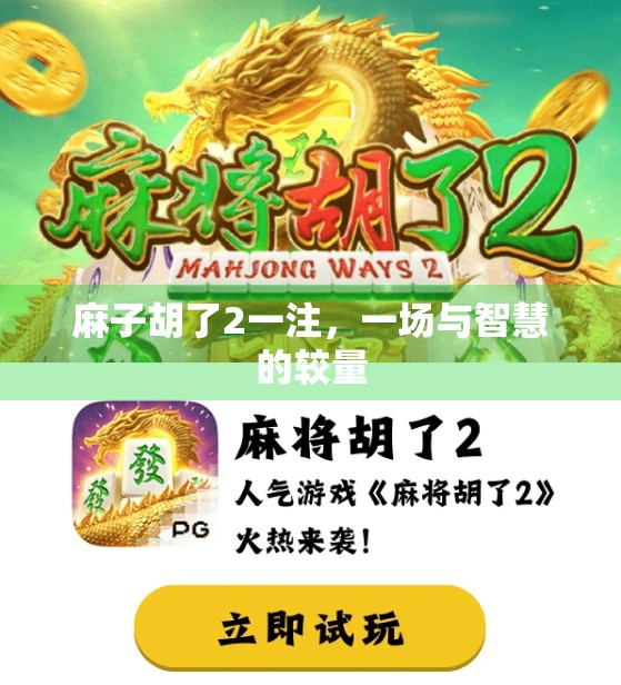 麻子胡了2一注,一场与智慧的较量 麻子胡了2一注,一场与智慧的较量