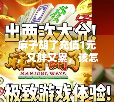 麻子胡了充值1元，又胖又累，该怎么解决？