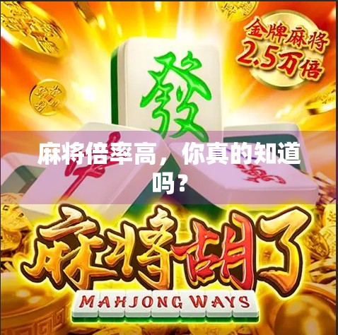 麻将倍率高，你真的知道吗？