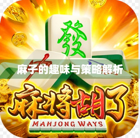 麻子的趣味与策略解析
