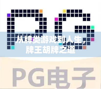 从牌类游戏到人生，牌王胡牌之道