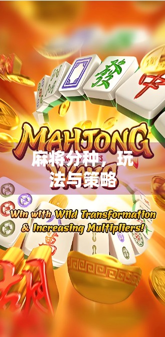 麻将分种，玩法与策略