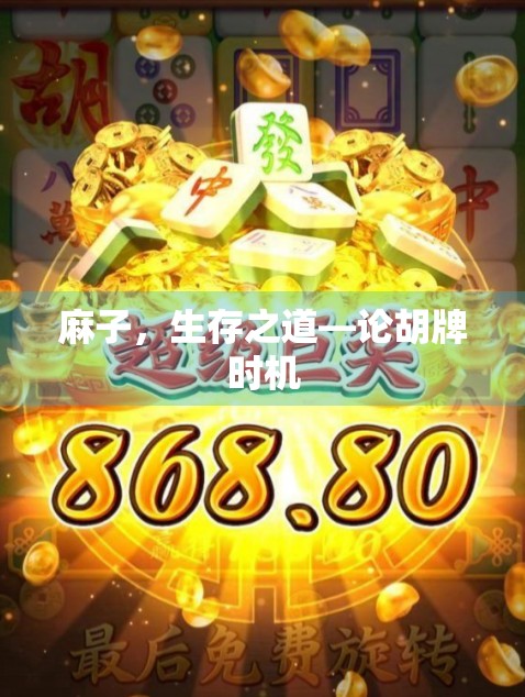 麻子,生存之道—论胡牌时机 麻子,生存之道—论胡牌时机