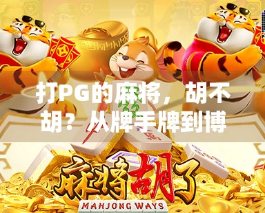 打PG的麻将，胡不胡？从牌手牌到博弈策略