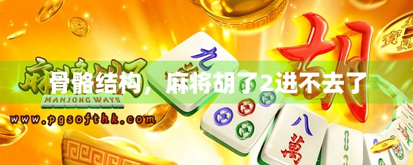 骨骼结构，麻将胡了2进不去了