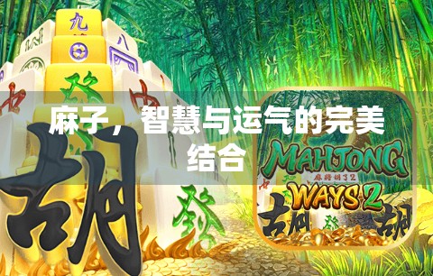 麻子,智慧与运气的完美结合 麻子,智慧与运气的完美结合
