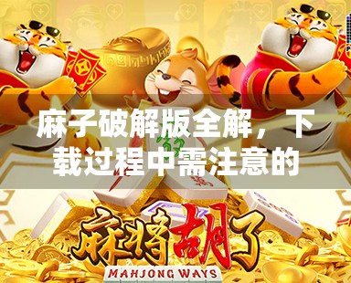 麻子破解版全解，下载过程中需注意的事项