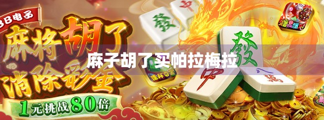 麻子胡了买帕拉梅拉