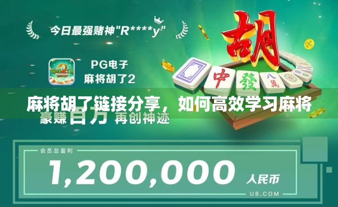 麻将胡了链接分享,如何高效学习麻将 麻将胡了链接分享,如何高效学习麻将