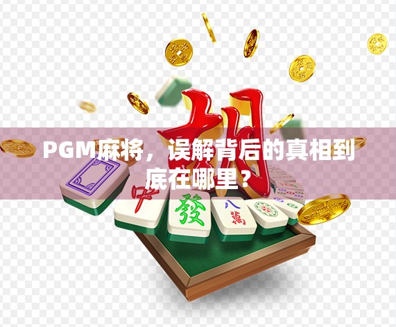 PGM麻将，误解背后的真相到底在哪里？