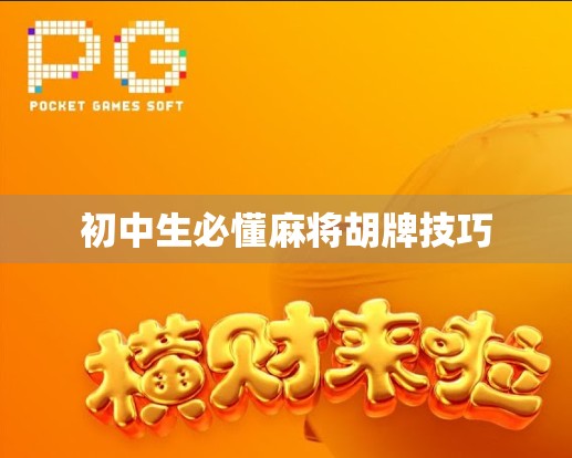 初中生必懂麻将胡牌技巧