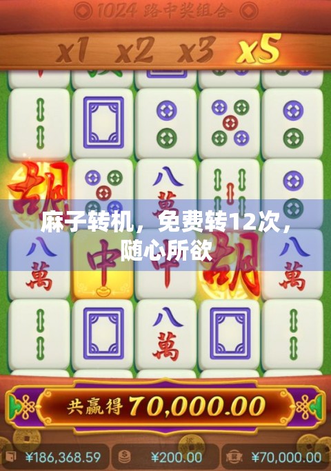 麻子转机，免费转12次，随心所欲