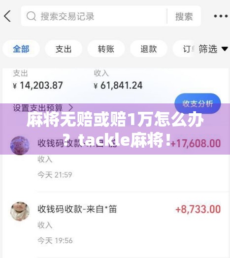 麻将无赔或赔1万怎么办？tackle麻将！