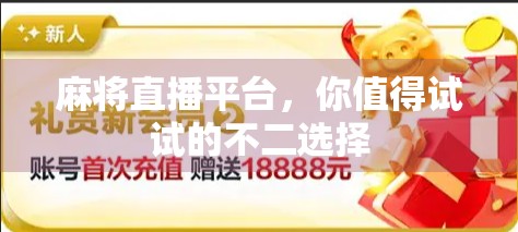 麻将直播平台，你值得试试的不二选择
