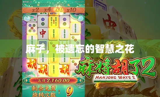 麻子，被遗忘的智慧之花