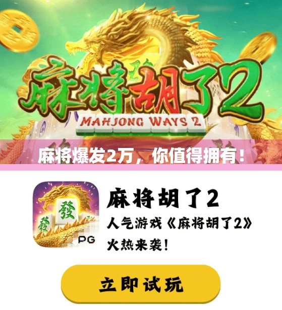 麻将爆发2万，你值得拥有！