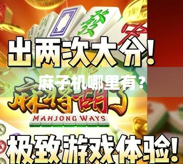 麻子机哪里有？