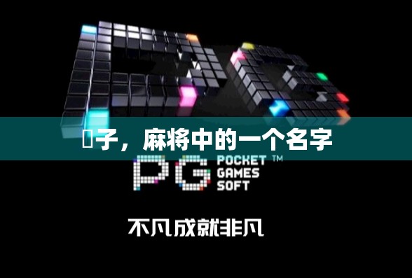 骮子，麻将中的一个名字