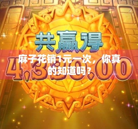 麻子花销1元一次，你真的知道吗？