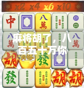 麻将胡了，八百五十万你笑什么？