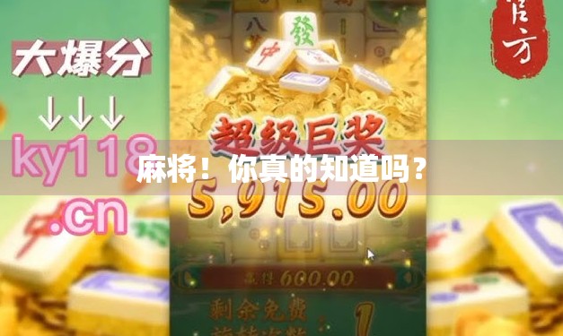 麻将!你真的知道吗? 麻将!你真的知道吗?